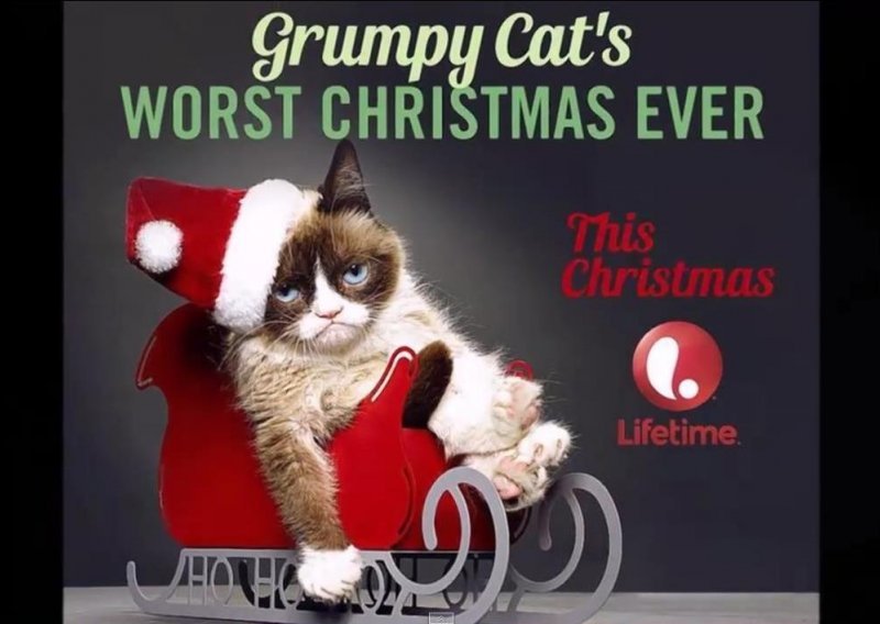 Grumpy cat dobila ulogu u holivudskom filmu