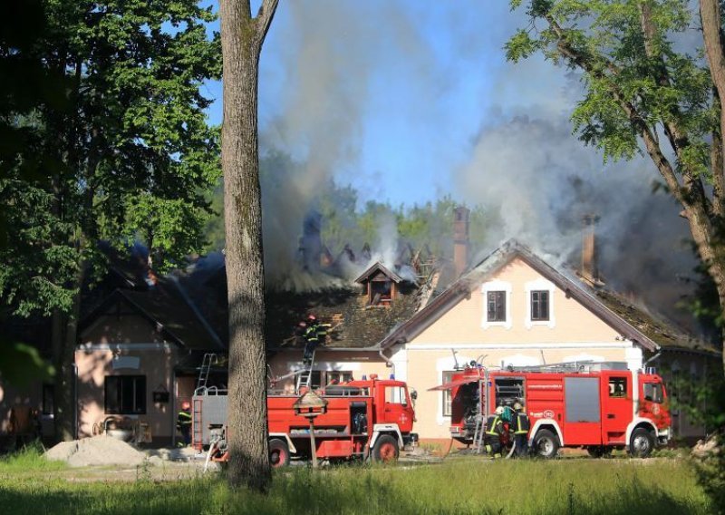 Ugašen požar u blizini Kopačkog rita