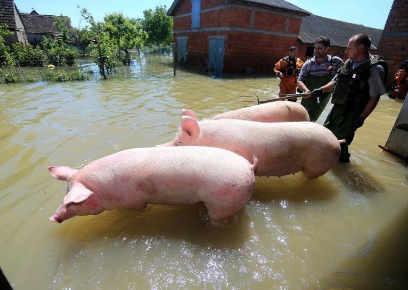 Vodostaj Save kod Županje pao za 34 centimetra