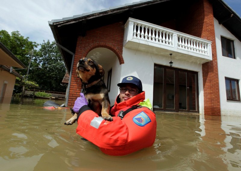 Dirljiva briga za životinje u poplavljenim područjima