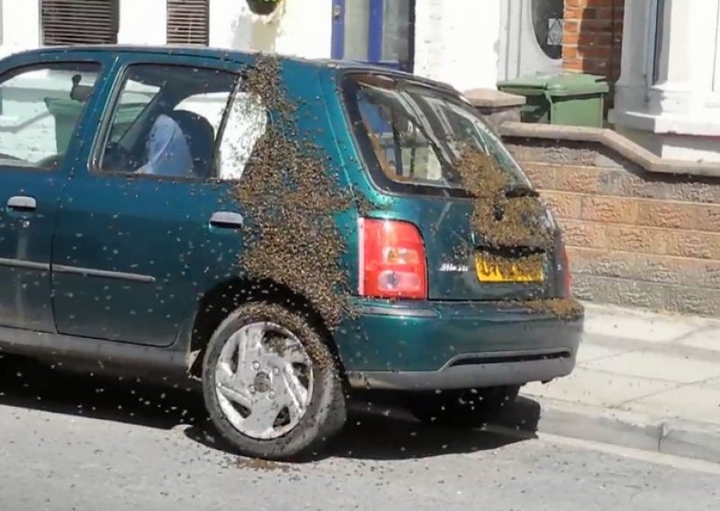 Preko 20.000 pčela prekrilo mu automobil