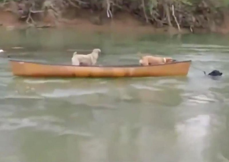 Hrabri pas spasio dvojicu prijatelja iz rijeke