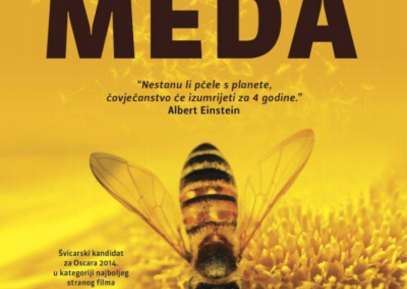 Dokumentarni hit 'Više od meda' kreće u kino distribuciju