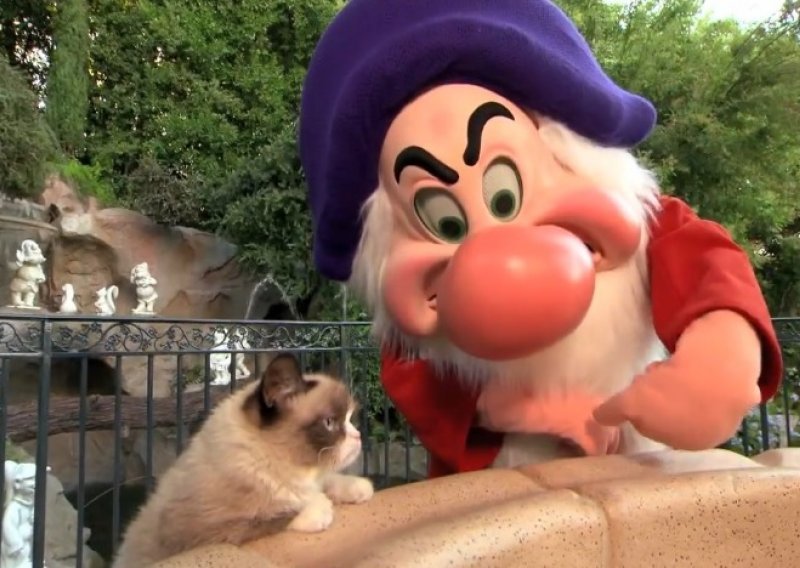 Zlovoljna mačka posjetila i Disneyland
