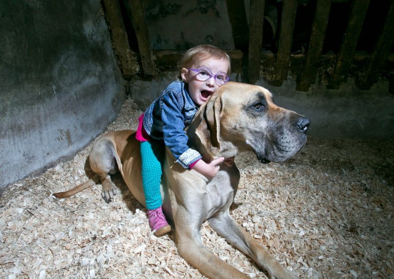 Pas pomaže djevojčici kad ima epileptične napadaje