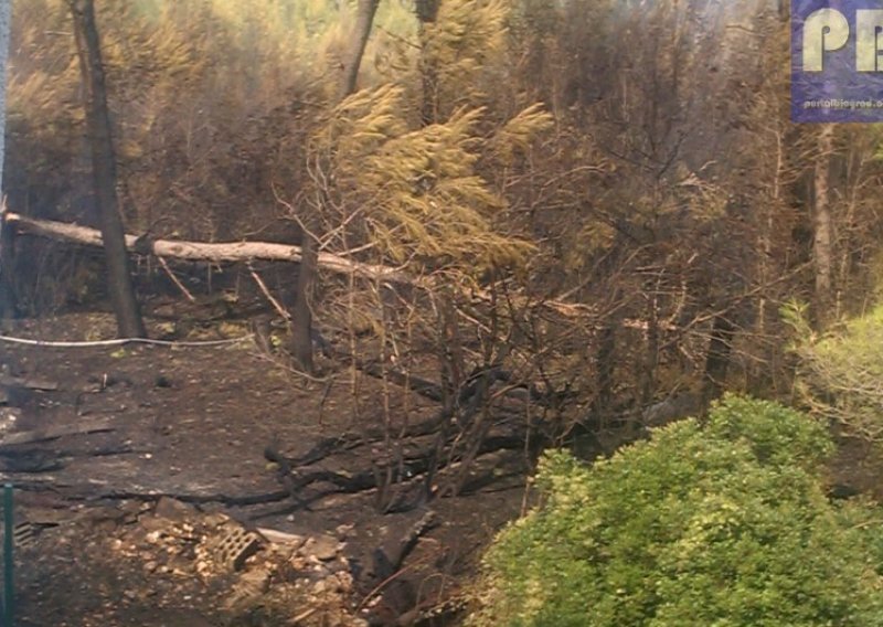 Požar kod Biograda zaprijetio kućama i bolnici