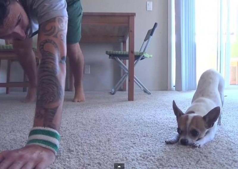 Nevjerojatan psić trenira jogu s vlasnikom