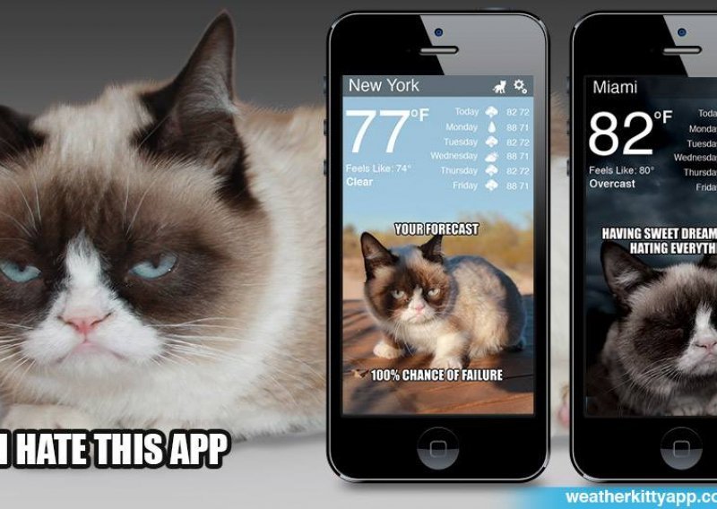 Mačji prognostičari na vašem telefonu