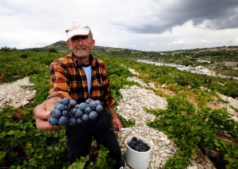 Vlast ošamućena od vlastite nesposobnosti