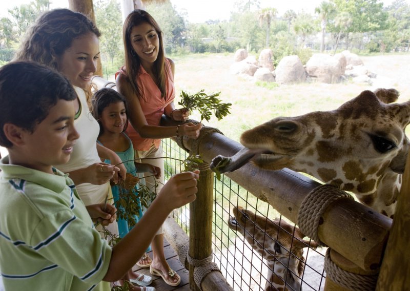 Kostarika oslobađa životinje iz ZOO vrtova