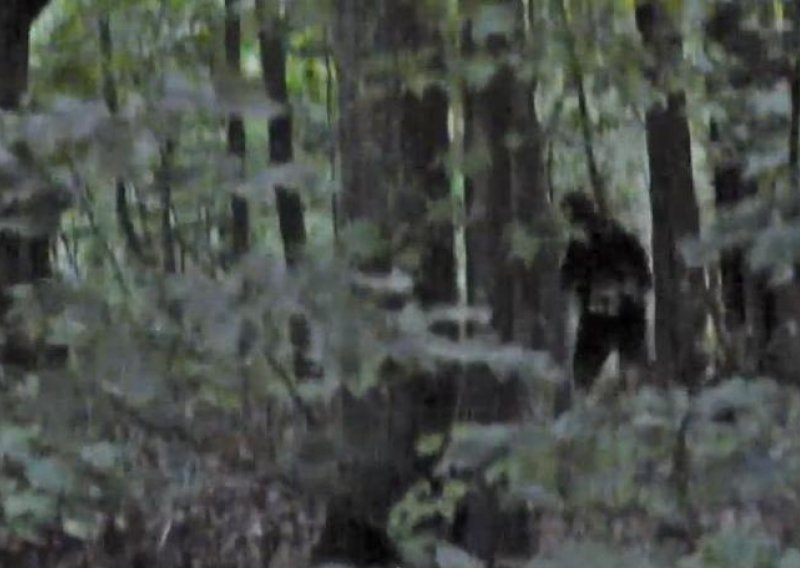 Je li ovo snimka Bigfoota?