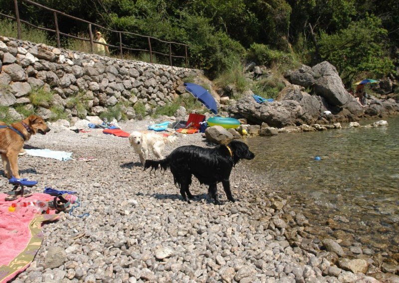 Pas na plaži ugrizao muškarca i dijete iz Češke