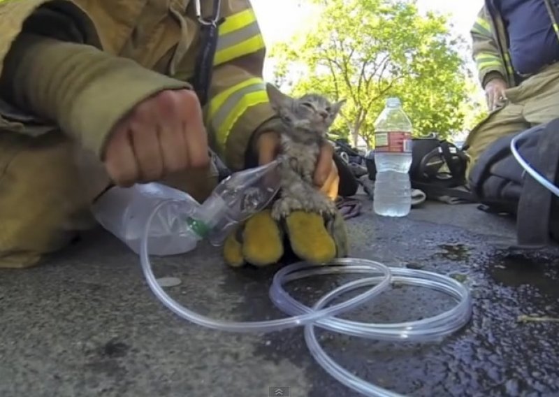 Vatrogasac heroj spasio mačića iz zadimljene kuće