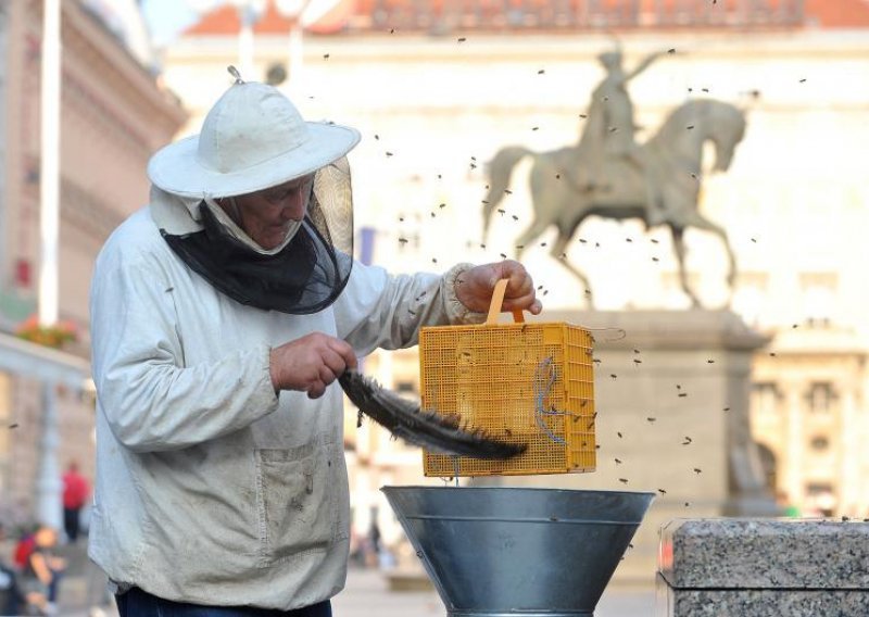 Rojevi pčela okupirali Zagreb