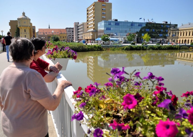 U Vukovaru cvjeta 'poplavni turizam'