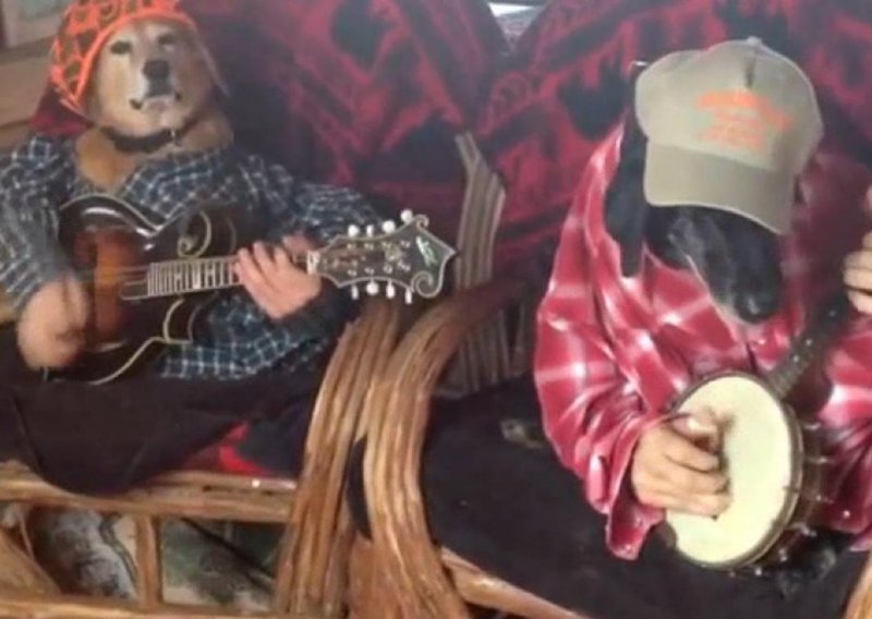 Ovi psi sviraju bendžo kao pravi Teksašani