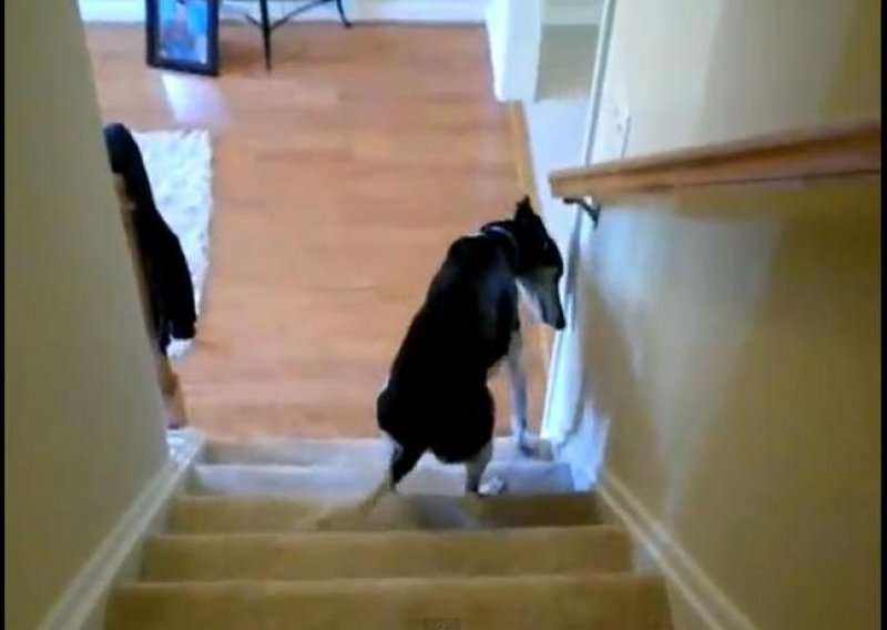 On se zna penjati stepenicama samo unatraške