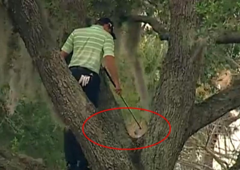Izvrstan udarac s drveta golferskog Tarzana