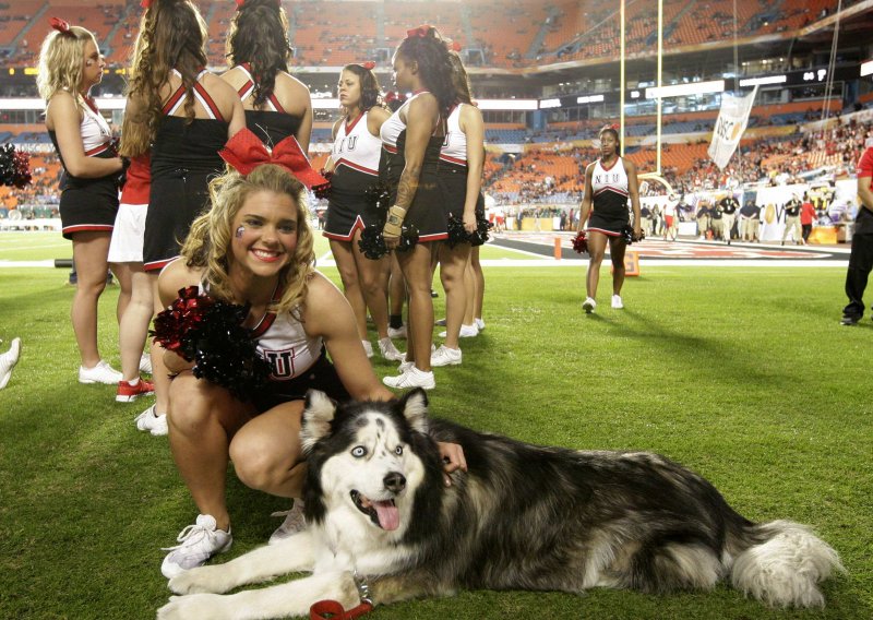Najljepša fotografija: Cheerleaderica i pas