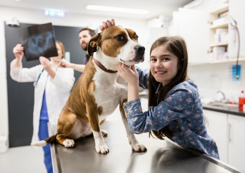 Kako odabrati veterinara