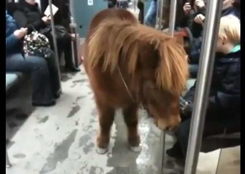 Ušetala u podzemnu željeznicu s ponijem