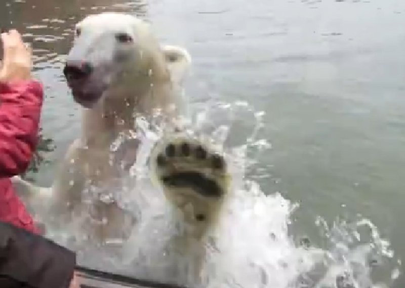 Polarni medvjed srdačno dočekuje posjetitelje
