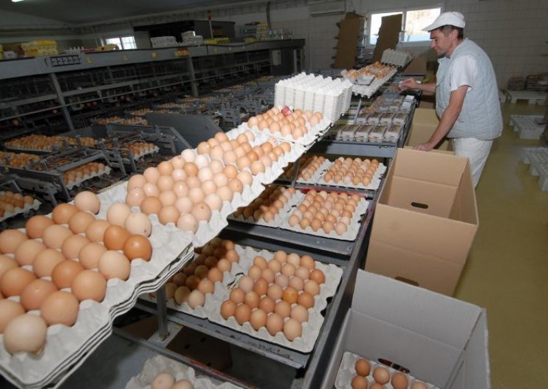 Europarlamentarka Borzan: Kaznite odgovorne za skandal s jajima