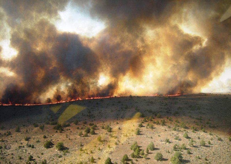 Izvanredno stanje zbog požara u Kaliforniji