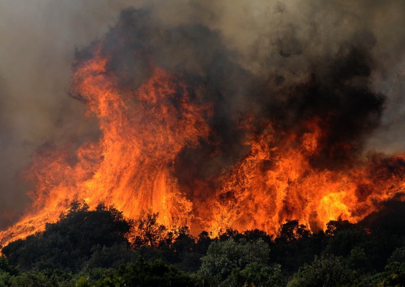 Šumski požar zapadno od Atene, gase ga vatrogasci, pet aviona i dva helikoptera