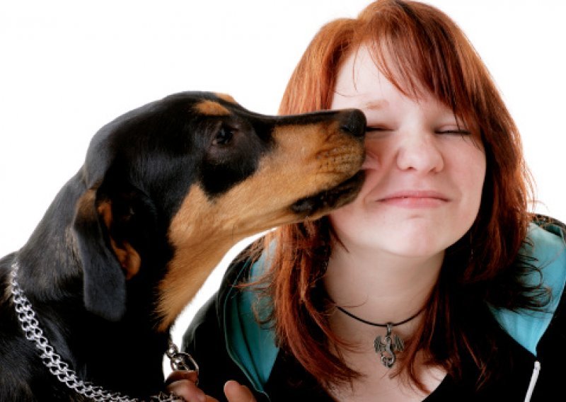 Što učiniti kad vas pas maltretira zaskakivanjem?