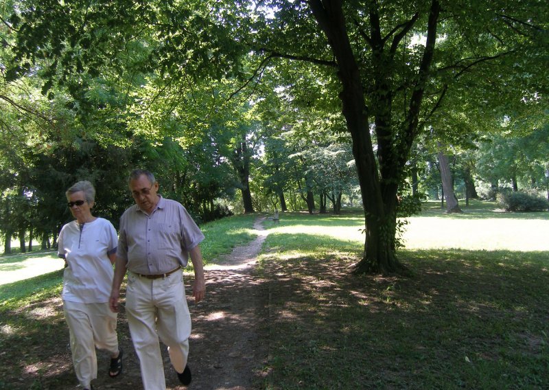 Osijek u natjecanju za Zlatni cvijet Europe