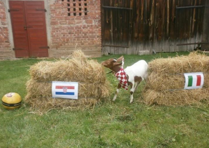 Kozlić zna da će Hrvatska dobiti Italiju