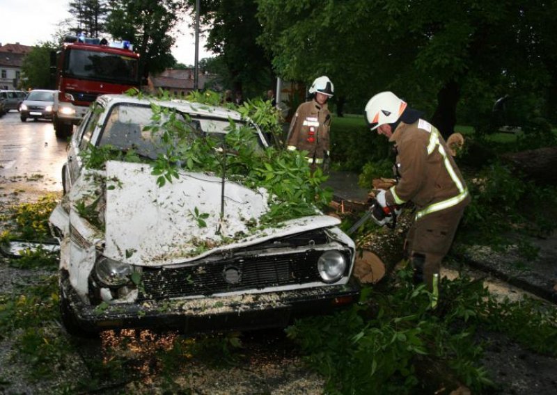 Stablo palo na poštara dok je vozio auto