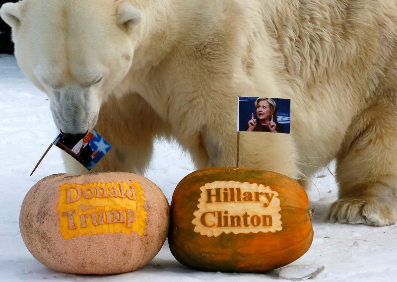 Tigrica i polarni medvjed prognozirali ishod američkih izbora