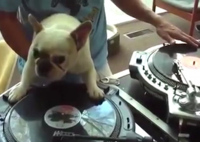 DJ pas čini čuda s vinilom
