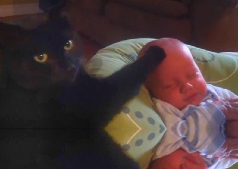 Evo kako mačka uspavljuje bebu