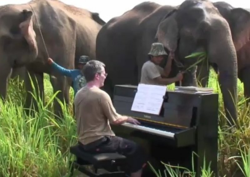 Pijanist svirao Beethovena slonovima