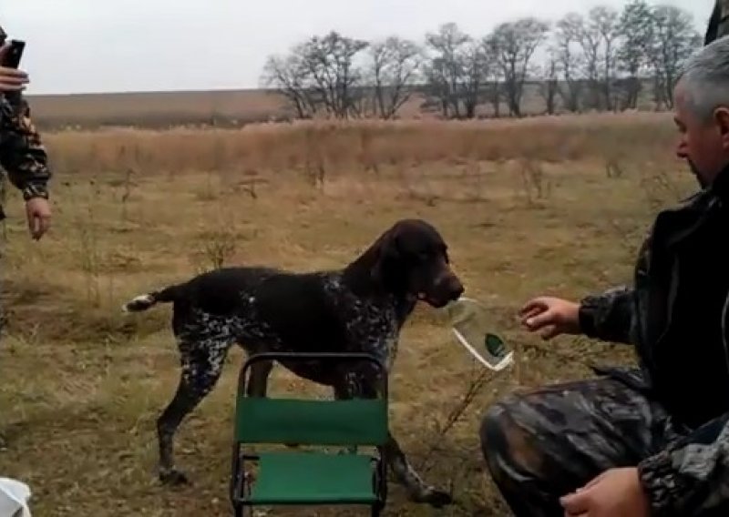Pogledajte kako pas Car donosi votku svom vlasniku