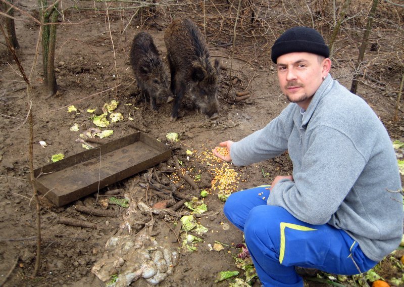 Mužjak Mićo i družica pobjegli lopovima