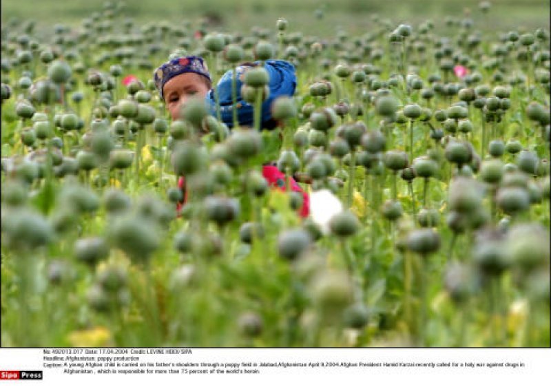 Afganistanski opijum ubija više ljudi na Zapadu nego rat