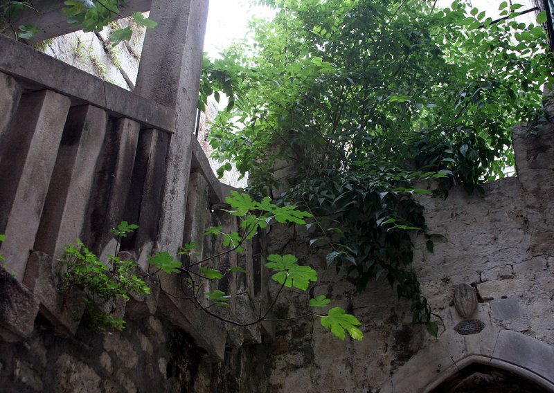 Zelenilo uništava zidine Dioklecijanove palače