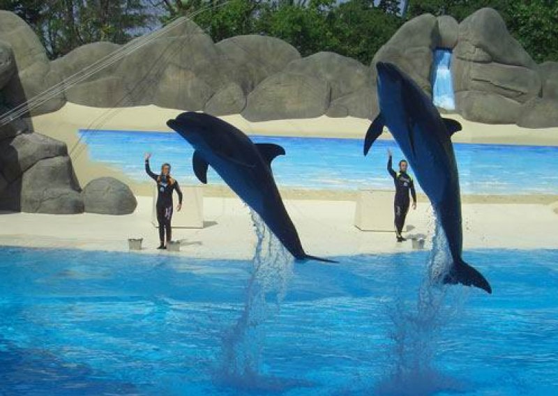 Hrvatski Gardaland bez bazena s dupinima