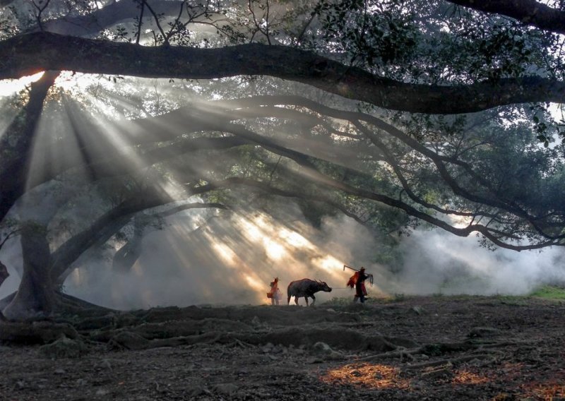 Pogledajte fantastične fotografije snimljene samo iPhoneom