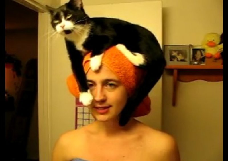 Upoznajte mačku koja voli mokre ručnike