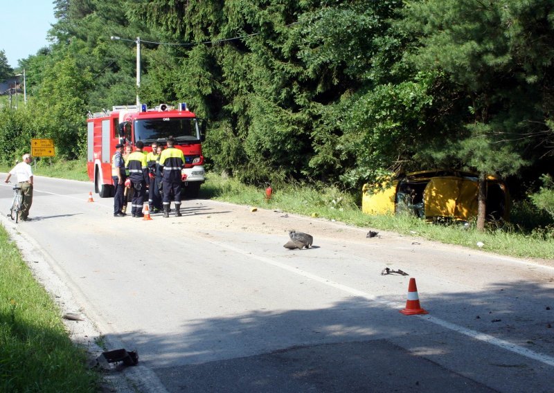 Poginuo vozač, teško ozlijeđen suvozač
