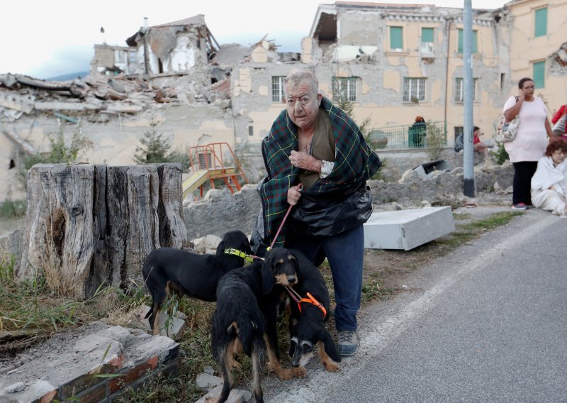Nakon potresa krenula potraga za kućnim ljubimcima