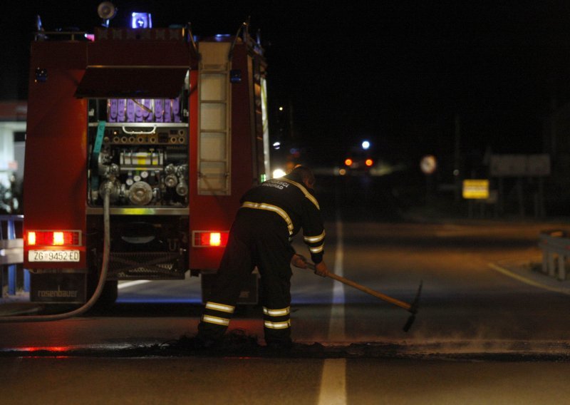 Opet srušen bor na jadransku magistralu