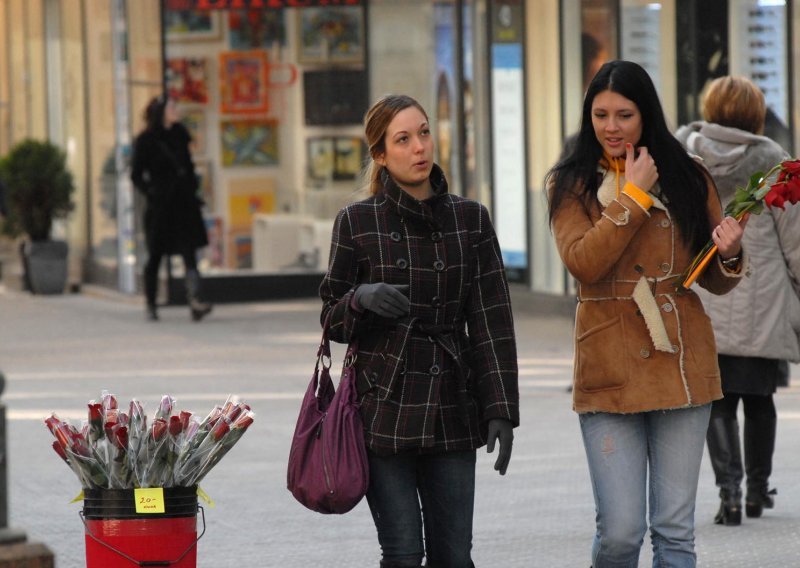 'Ne ukidajte Ured pravobraniteljice za ravnopravnost spolova'