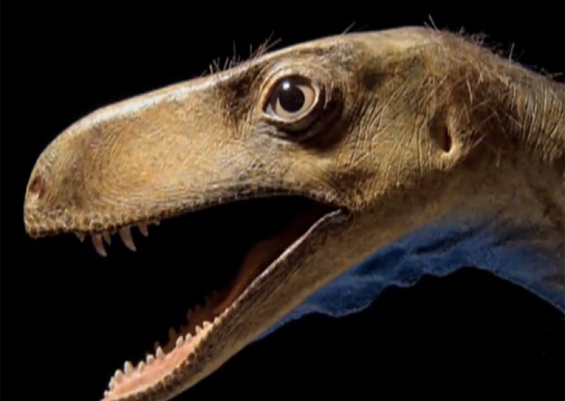 Otkriven rani predak opakih dinosaurusa