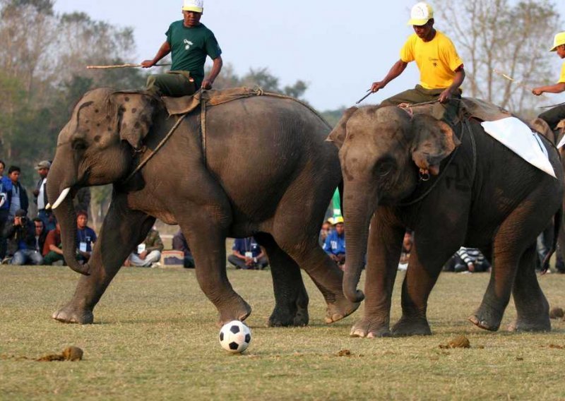 Slonovi igrali nogomet u Nepalu